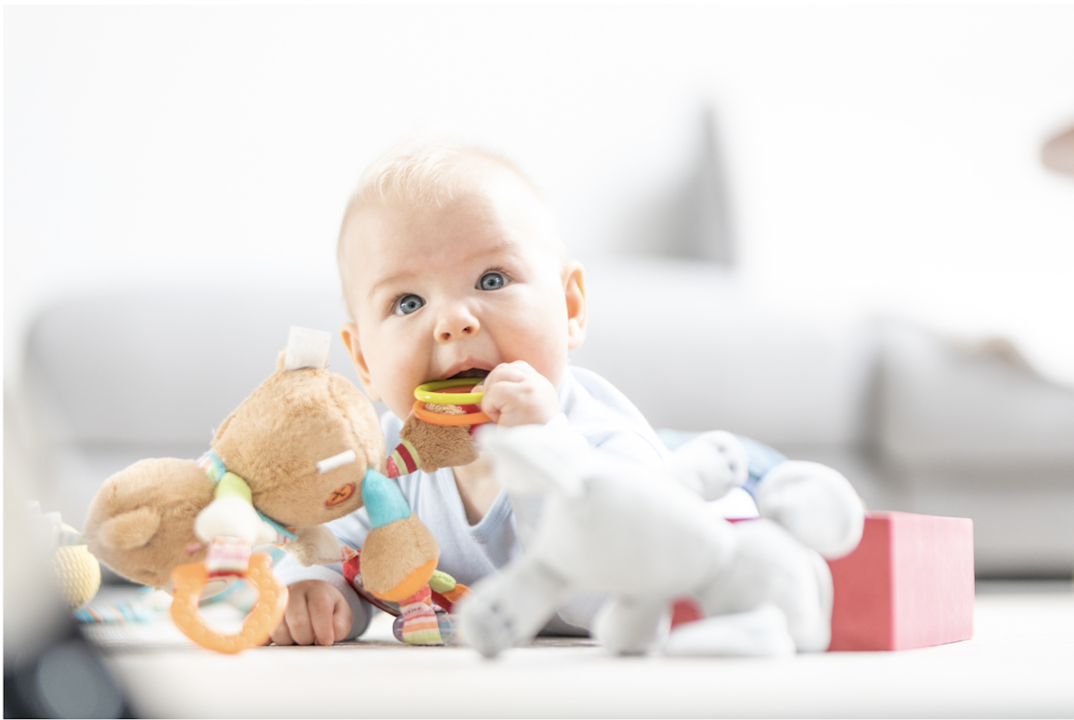 bébé